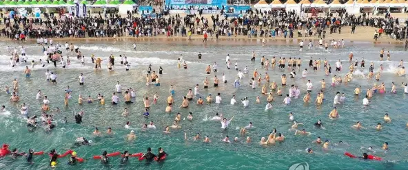 해운대 북극곰 수영대회 일정&middot;참가신청