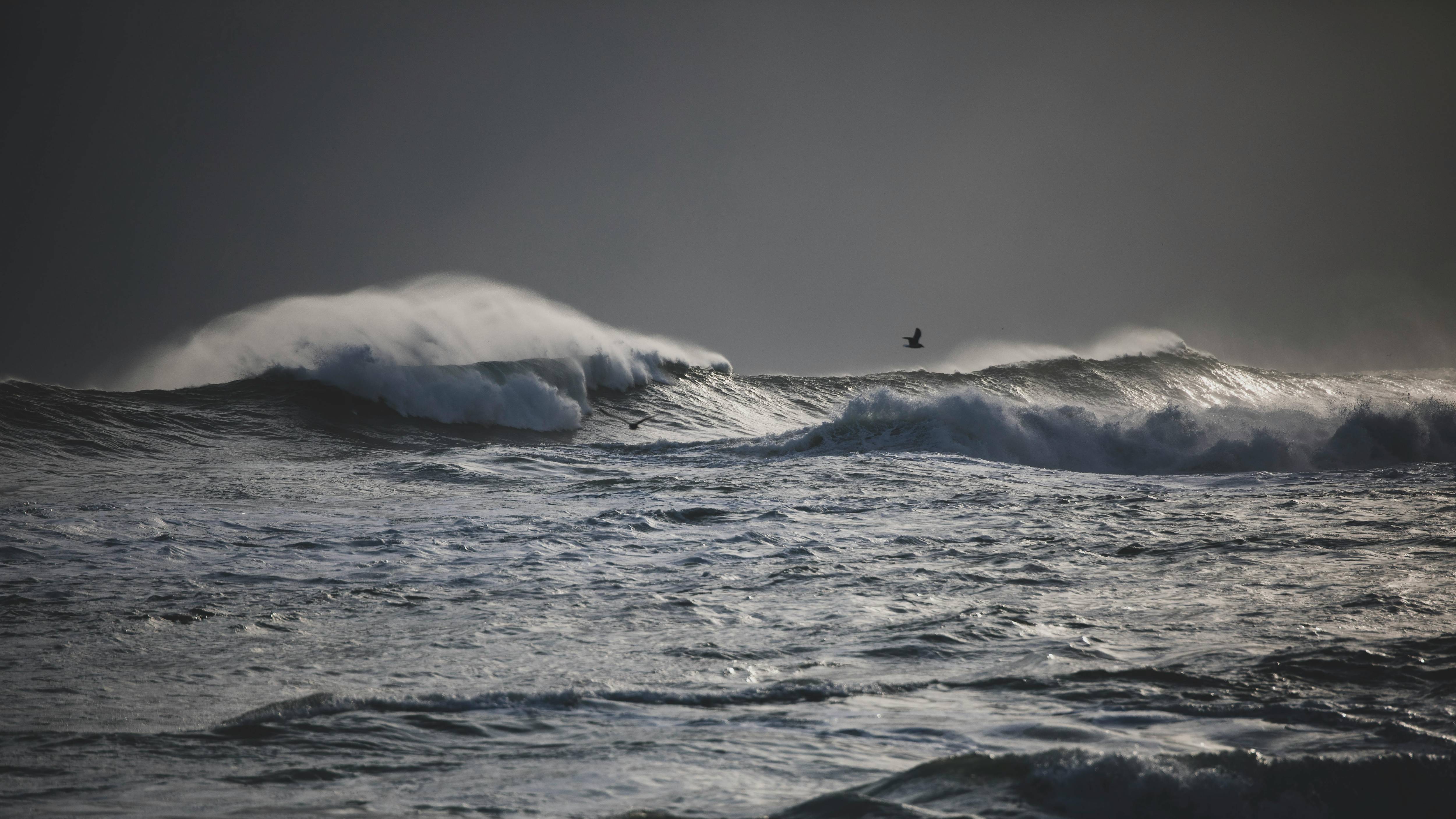 설악문화제 2025 일정·위치·SNS 총정리|속초 가을축제 가기 전 필독!
