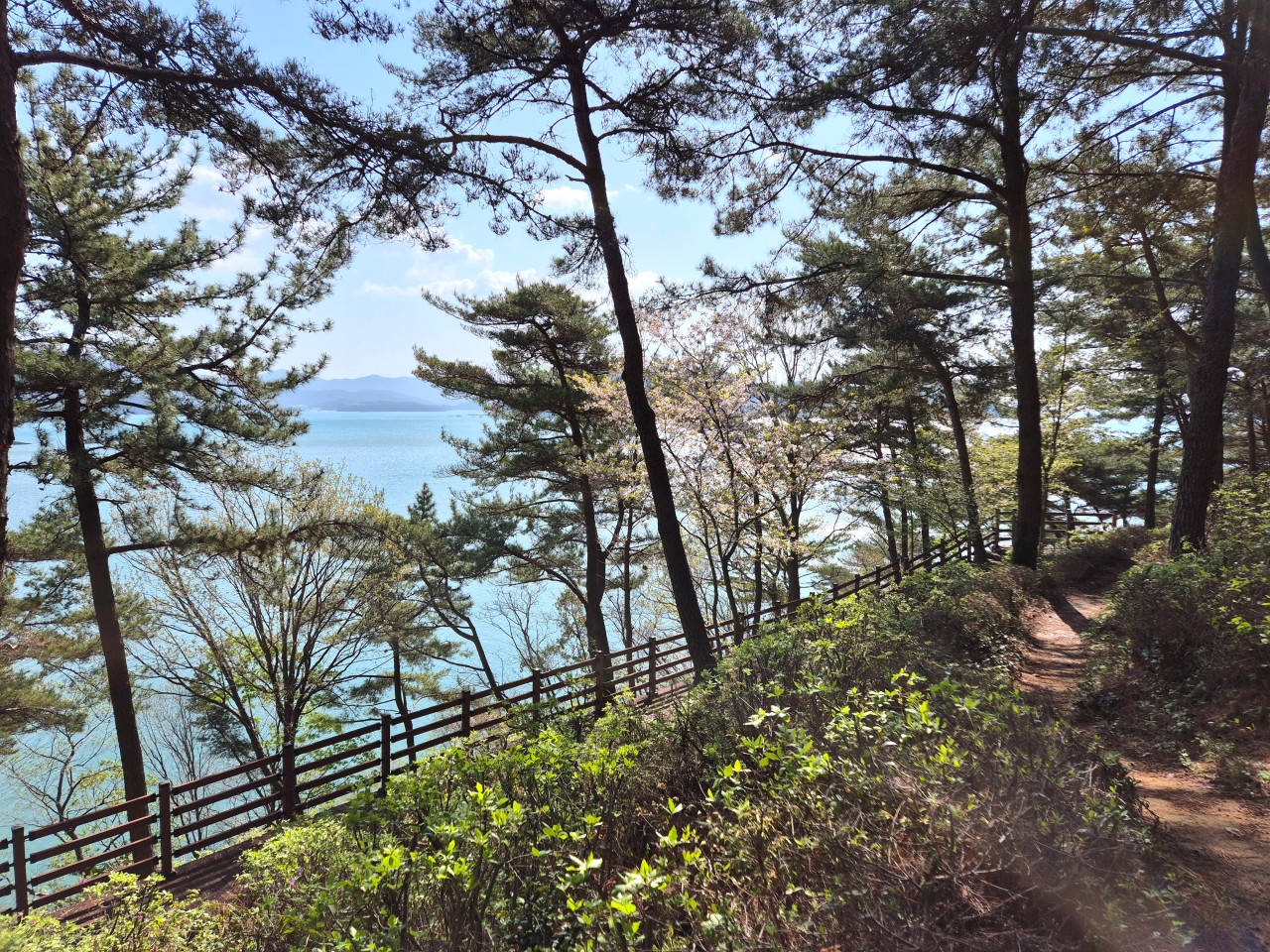 경남 고성 가볼만한곳 베스트10