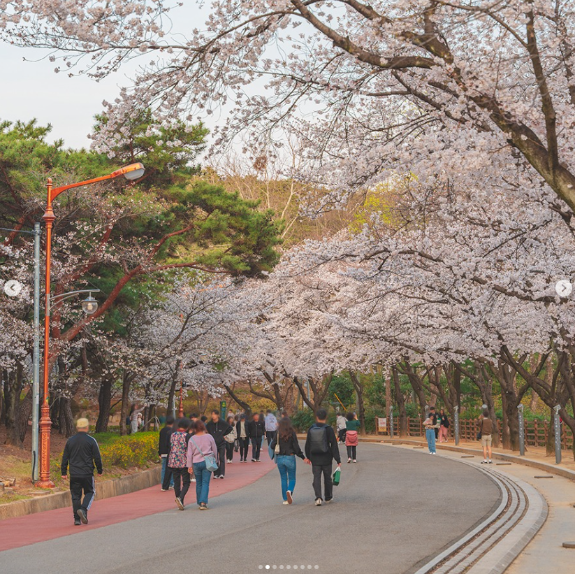 두류공원