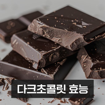 &ldquo;하루 한 조각의 집중력&rdquo;다크초콜릿과 함께하는 뇌 건강 