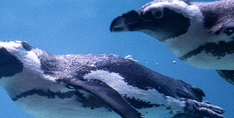 사천 아쿠아리움