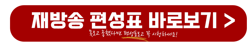 재방송 편성표 보기