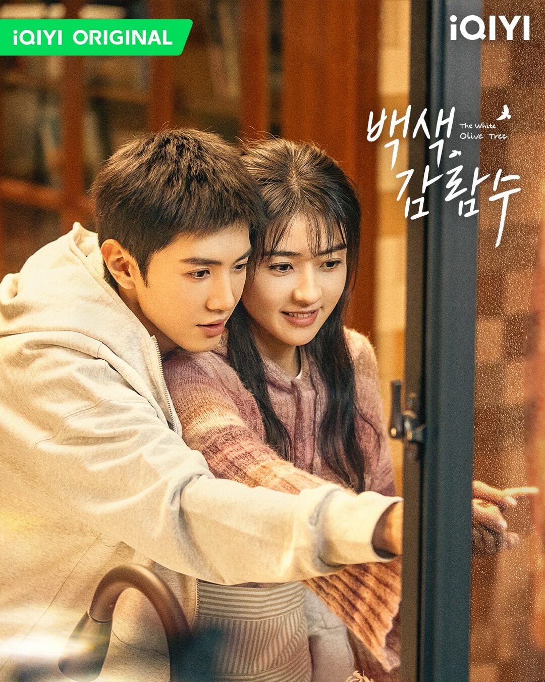 중드 백색감람수