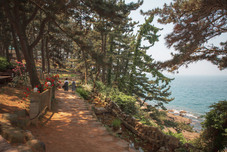 보령 모바일 스탬프 투어 참여 방법