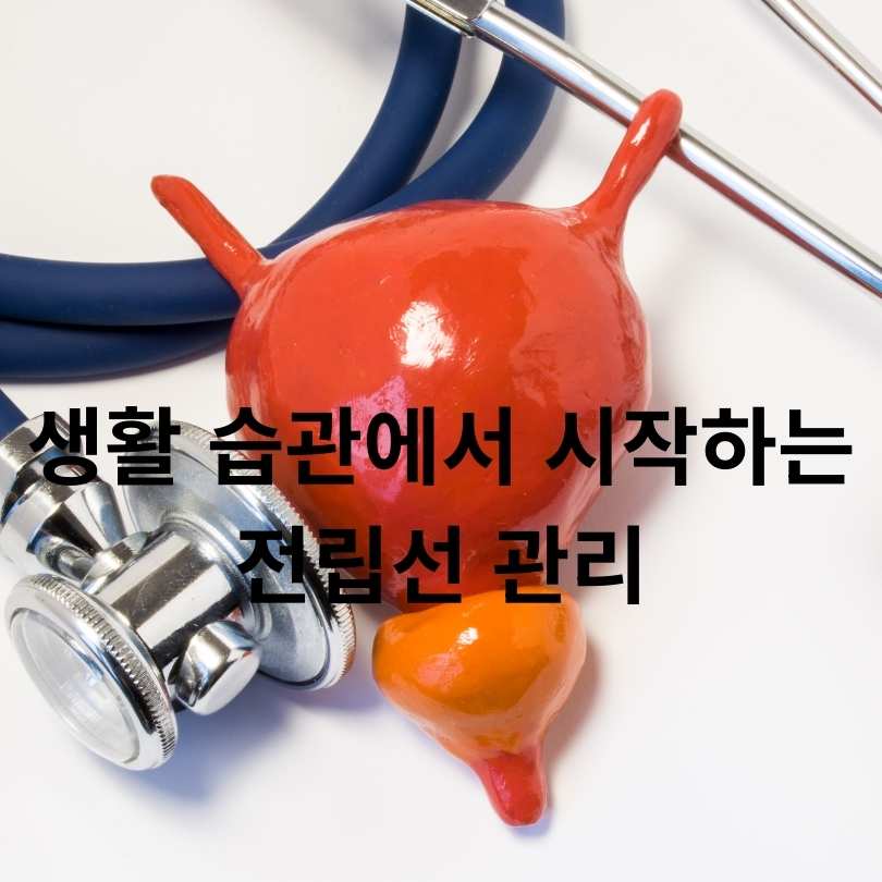 전립선 건강 유지 방법