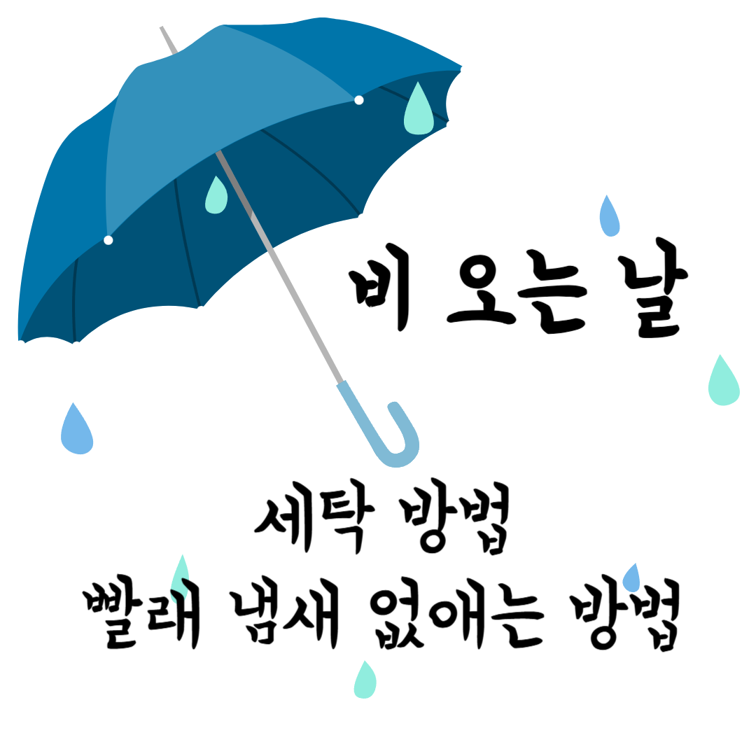 비오는날-세탁-방법
