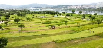 양평 파크골프장 예약 완벽 이용 가이드_6