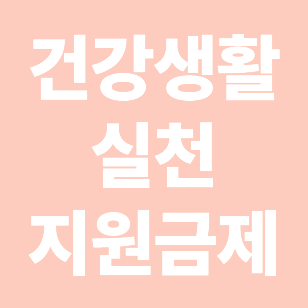 건강생활실천지원금제
