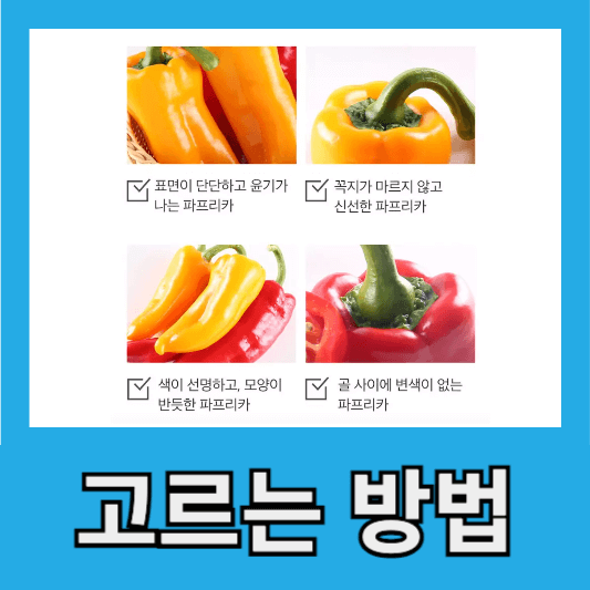 "스윗트리밸리 고르는방법"