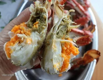 6월 꽃게 금어기 정확한 일정과 유통 제한 상세 정보 총정리_22