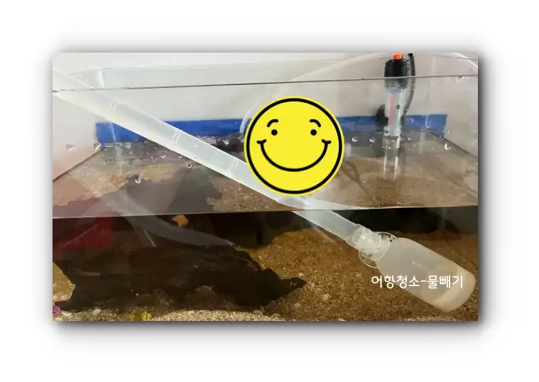 어항청소_펌프_물빼기