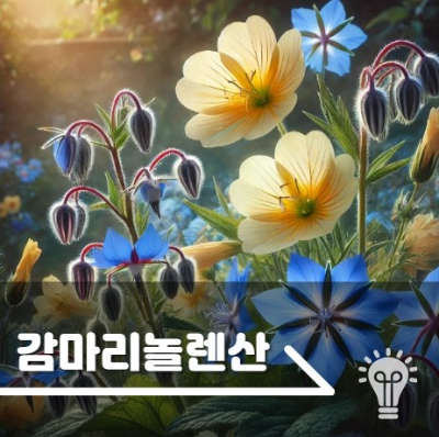 감마리놀렌산