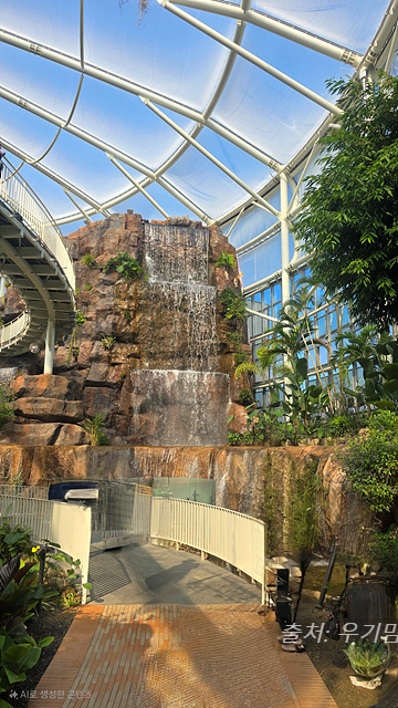 24년 순천만 국가정원 식물원 동문 순천여행