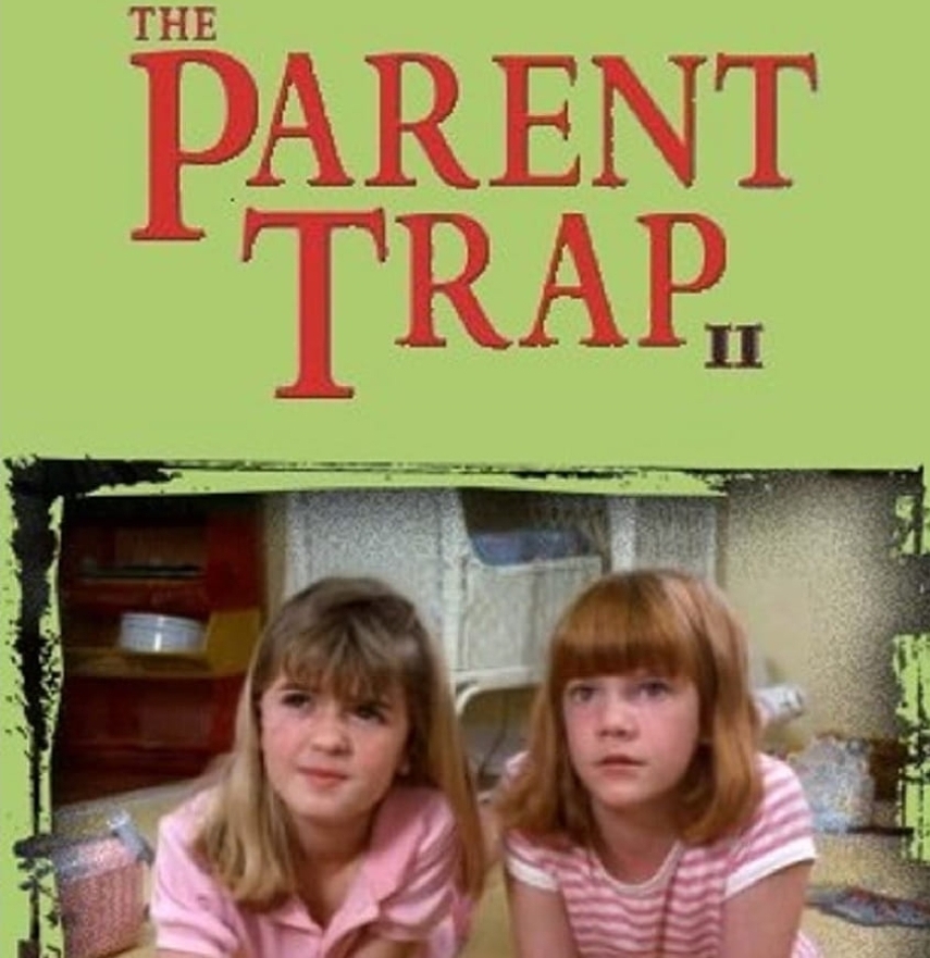 쌍둥이 자매 코미디 활약상 포스터