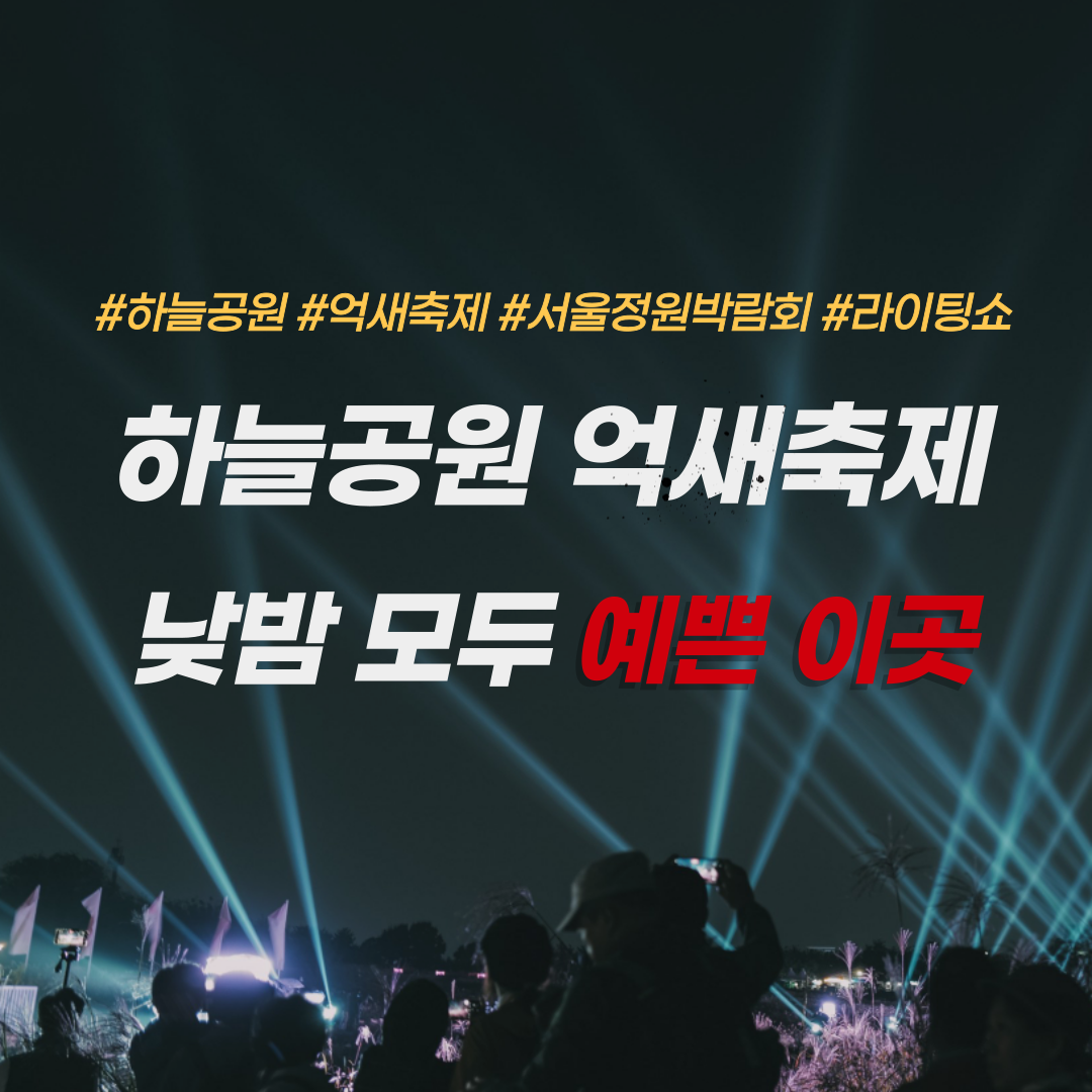 하늘공원-억새축제-서울정원박람회