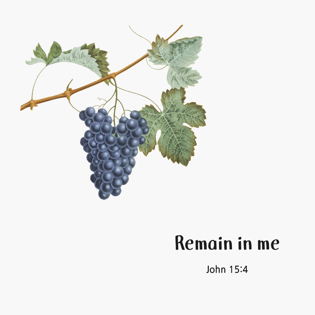 Remain in me. (John 15:4) by pieonane Daily Bible quote image