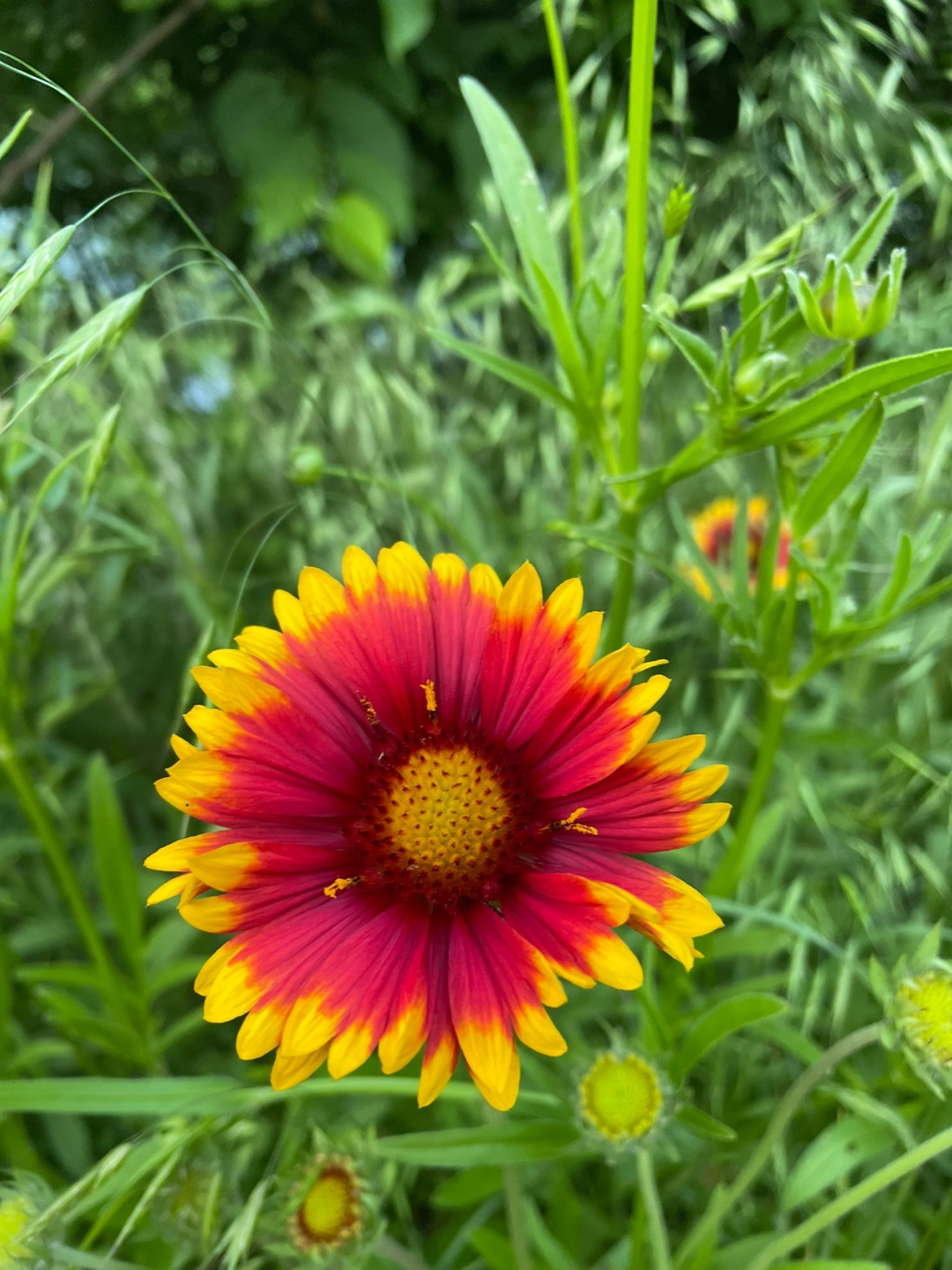 군산 여행 추천 - 월명공원 소개