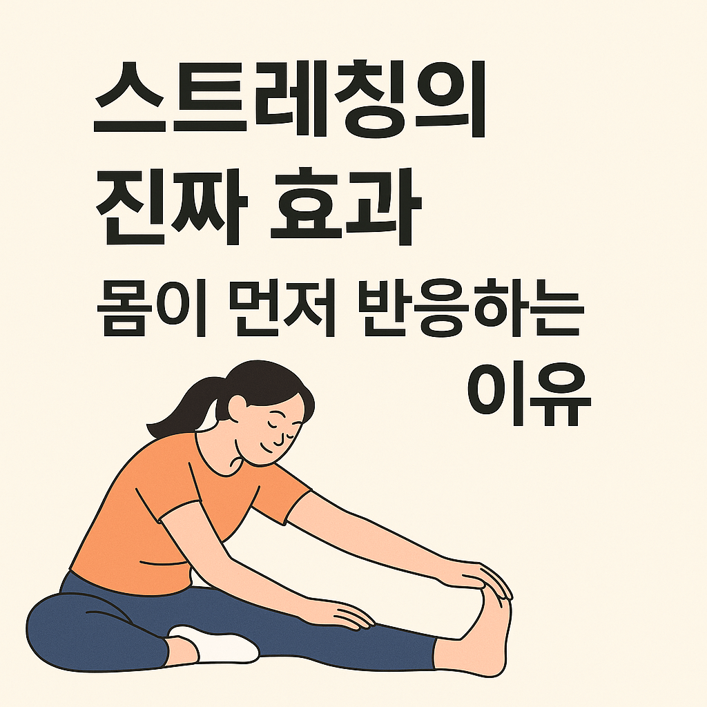 스트레칭 효과