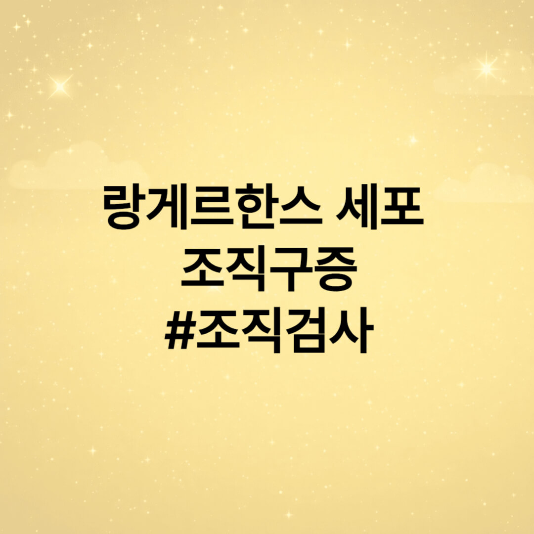 랑게르한스 조직검사