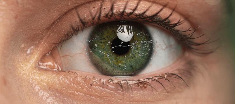 비문증 자연치유 방법과 비문증에 좋은 음식