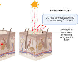자외선 UVA UVB 피부 침투 깊이 비교 — 자외선 차단제 필요