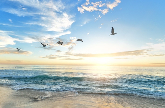 바다 위로 태양이 뜨는 꿈을 나타내는 이미지입니다.