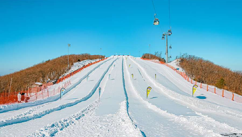 하이원 스노우월드