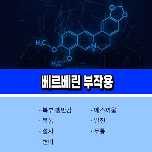 베르베린 부작용