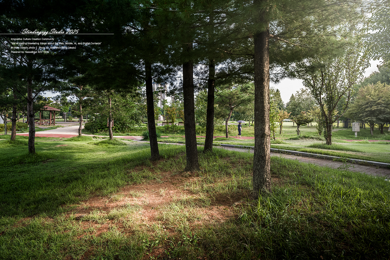 #청주 #공원 #문암생태공원 #어린이 #놀이터