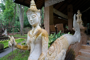 치앙마이 왓 파랏