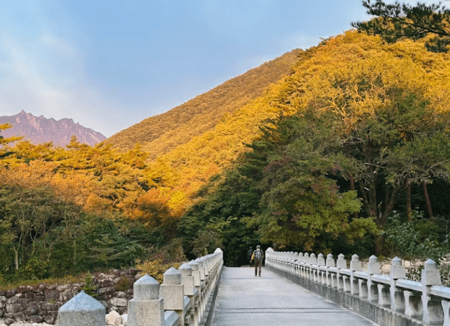 강원도 여행 4만원 돌려받는 법 선착순 꿀팁