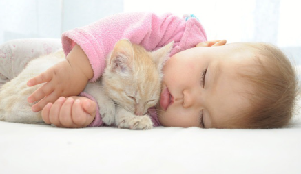 아기와 아기 고양이.