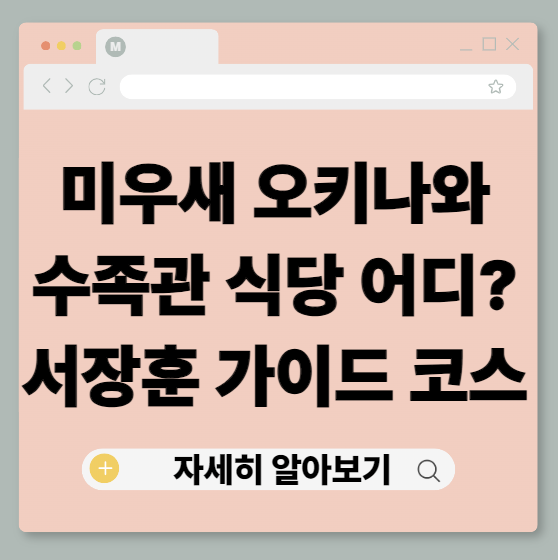 미우새 오키나와 수족관 식당 어디? 서장훈 가이드 코스 총정리