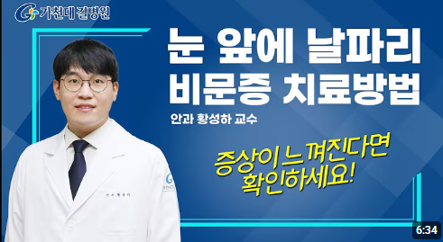 비문증