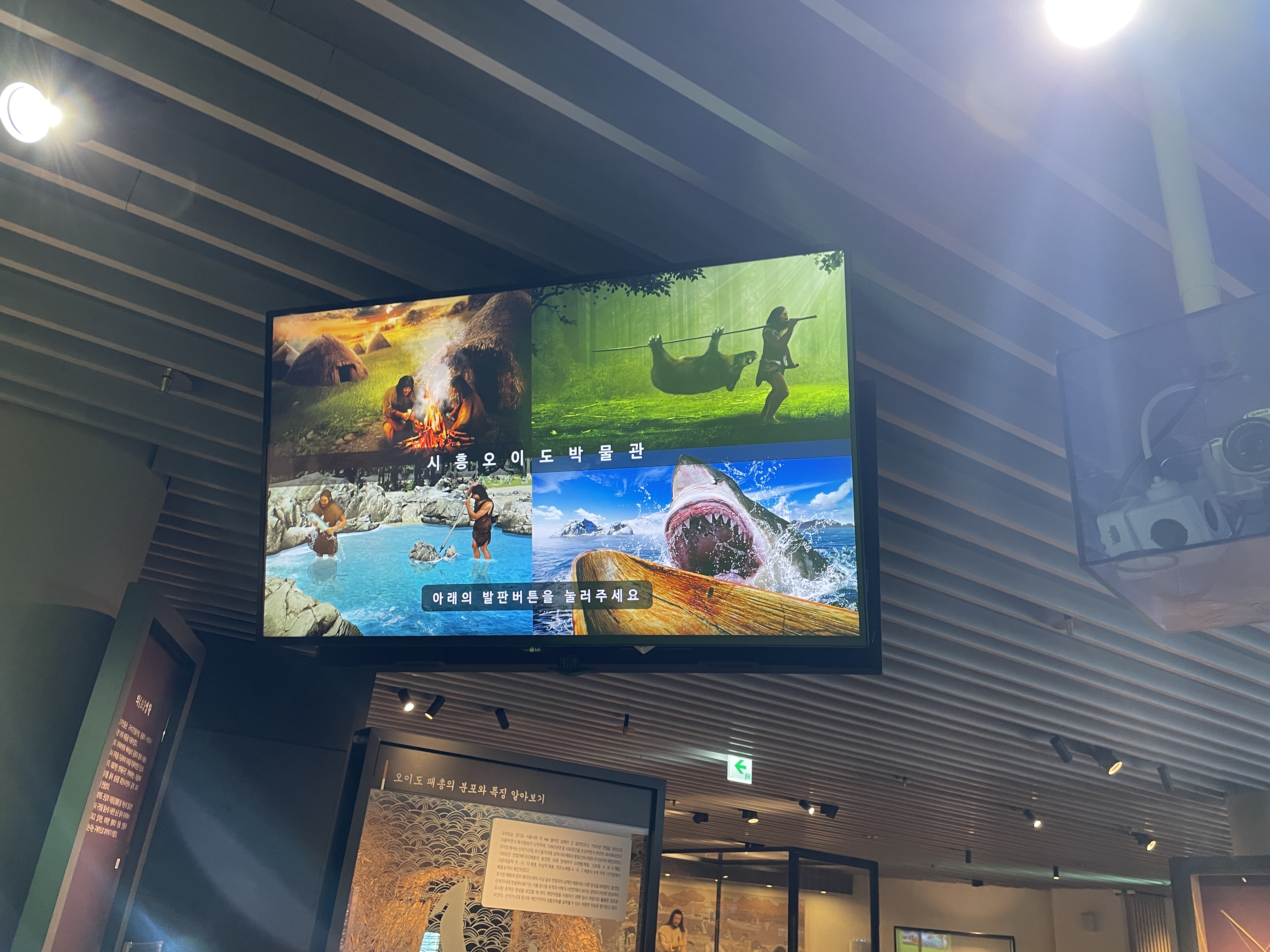 시흥 오이도 박물관 어린이 체험 예약 관련사진