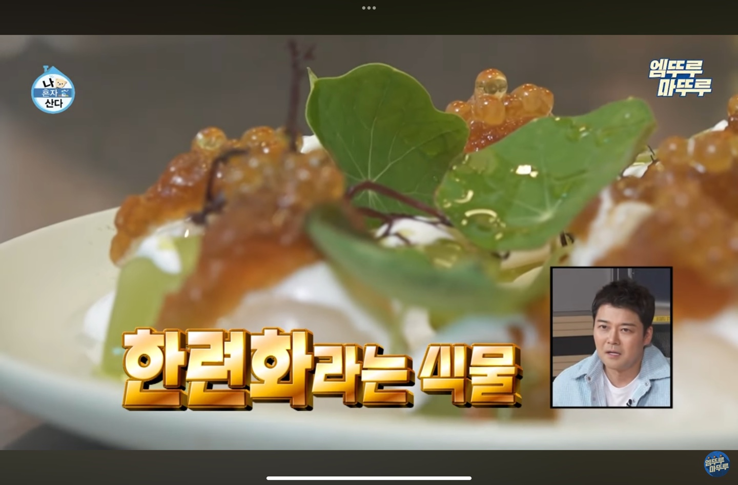 와인바킥 한련화