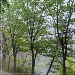 자연휴양림_예약성공팁2