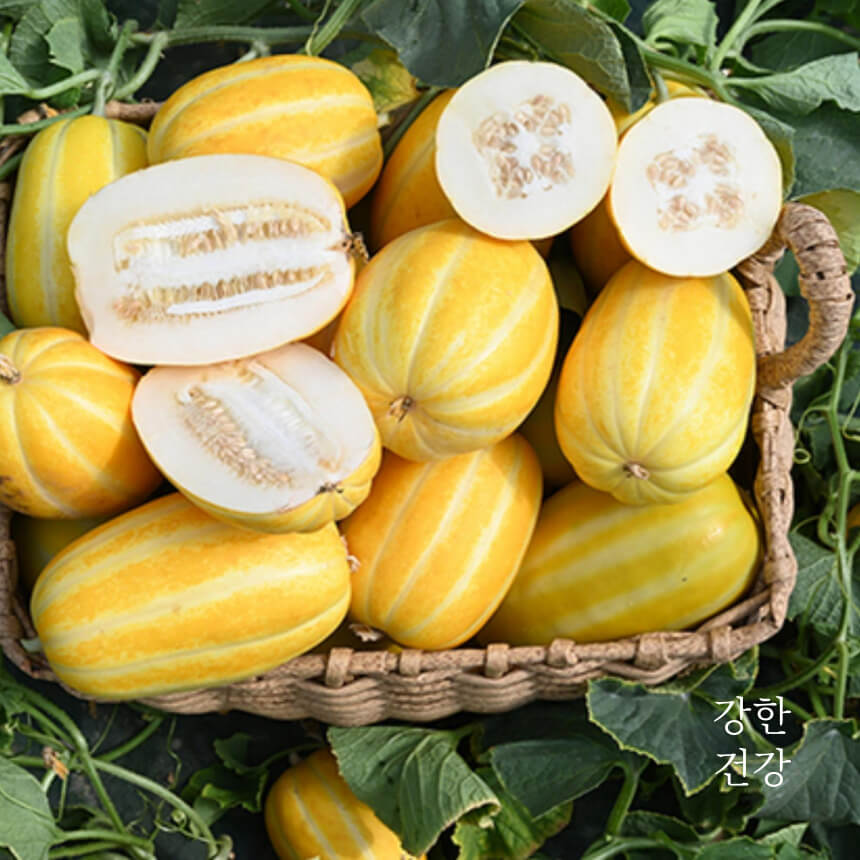 참외씨 먹어도 되나요