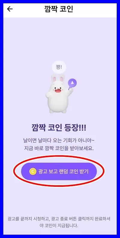 비트버니 퀴즈 정답 4월 29일