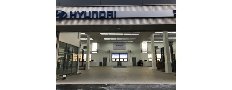 안산 단원구 블루핸즈