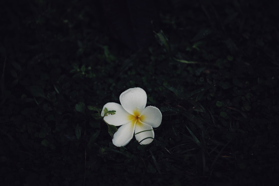Hope Account