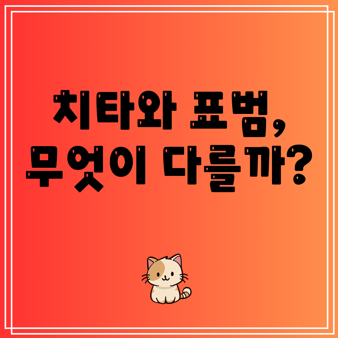 치타와표범,무엇이다를까