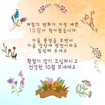 가을 인사말 모음 예시 문자_12
