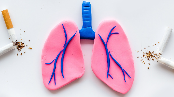 폐암 초기증상 폐결절 폐암원인 예방 금연효과 폐건강 조기검진 호흡기질환 건강관리 조기발견