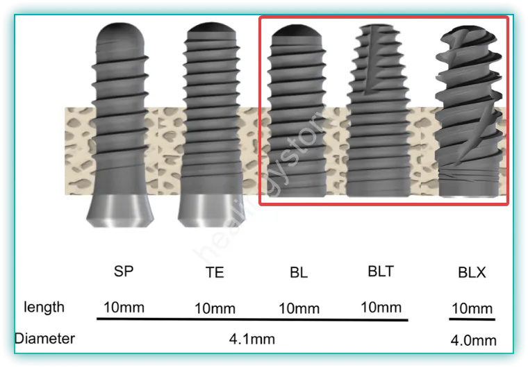 스트라우만 등급