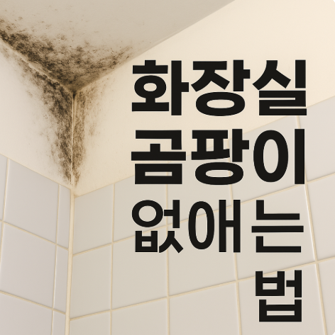 화장실 곰팡이 없애는 법