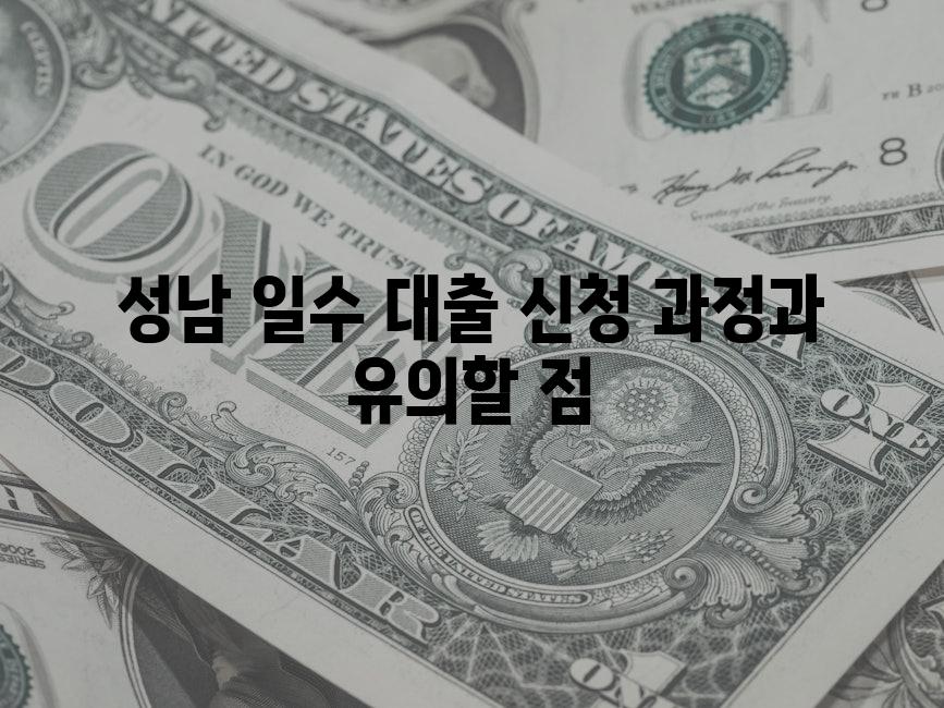 성남 일수 대출 신청 과정과 유의할 점