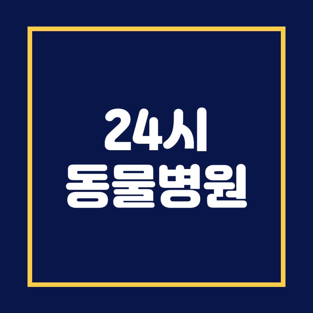 24시 동물병원
