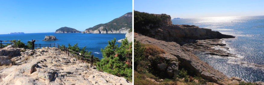 수국 명소 연화도 다음엔 어디? 통영 섬여행 가이드(욕지도, 비진도, 연대도)